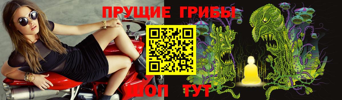 Вышний Волочёк  Галлюциногенные грибы Magic Shrooms  Вход с VPN 